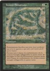Foto 1 di 2