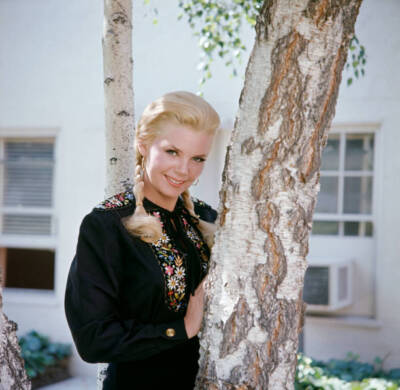 Hogans Heroes Sigrid Valdis Stars As Hilda 2 1960s Old Tv Photo