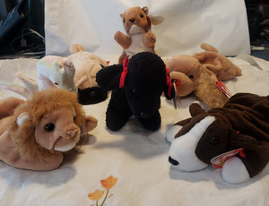 Beanie Baby Lot Of 7 Bruno Pugsly Roary Nuts Neon Gigi Spunky with Tags