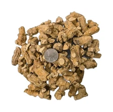 1LB Hand Selected American Ginseng Large Round Root Ginseng Root US Seller 美国花旗参