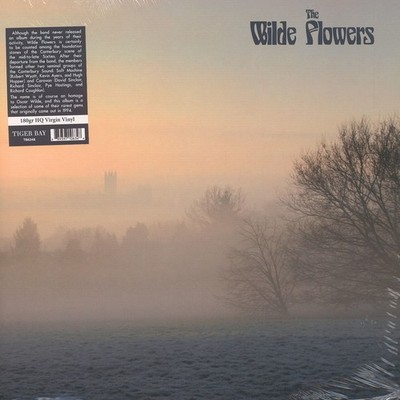 The Wilde Flowers - The Wilde Flowers (Vinyl LP - 2018 - EU - Original)
