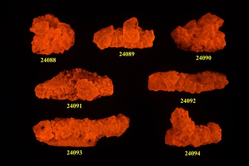 JHSet345 Set of 7 Halite Crystals on Sage Brush, Salton Sea CA