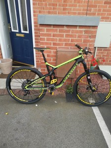 cannondale trigger team