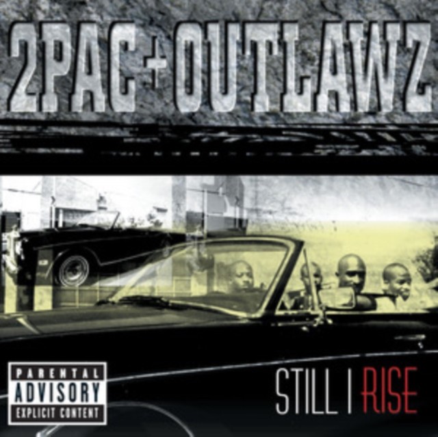 Still I Rise - Image 4