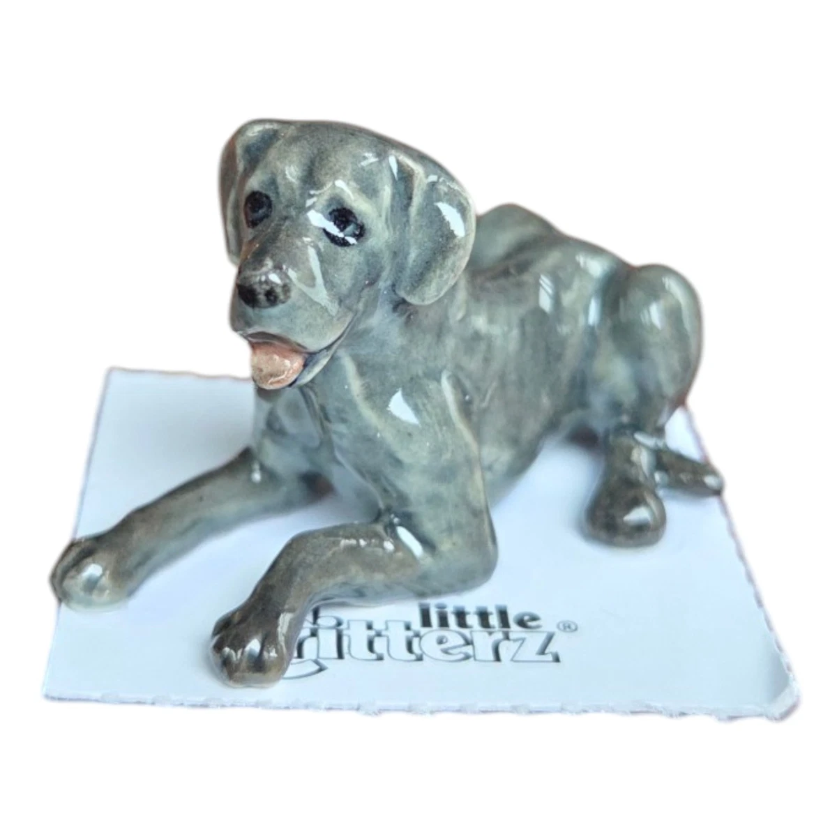 Great Dane products for sale | eBay