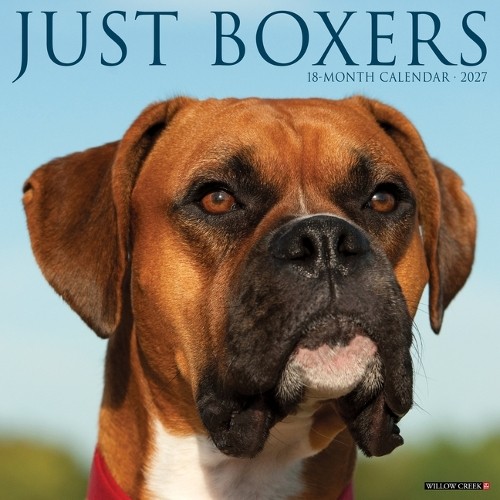 Boxers 2027 Wall by Willow Creek Press (Paperback Book) - Image 6