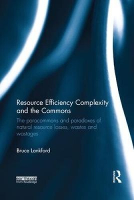 Resource Efficiency Complexity and the Commons: The Paracommons and Paradoxes