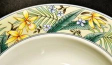Set of 4 Christopher Stuart Fine China YO235 POLYNESIA 9 1/8" Rimmed Soup Bowls