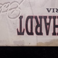 Action Earnhardt Limited Edition Pink NASCAR Diecast Racing Car