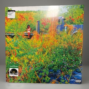 Jhene Aiko Vinyl Record | eBay