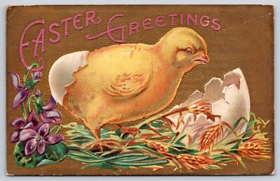Happy Easter Greeting Chick Hatching from Egg Among Wheat and Violets Postcard
