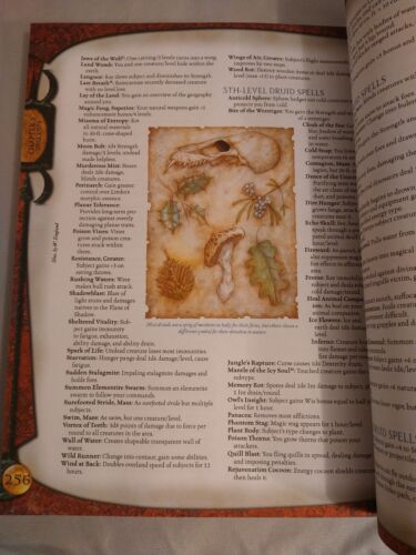 Dungeons and Dragons v.3.5 Compendio Incantesimi Ristampa Copertina Morbida - Foto 5 di 8
