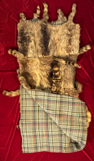 VERY RARE CIVIL WAR ERA RACCOON PELT BLANKET / HAND SEWN / COTTON LINING