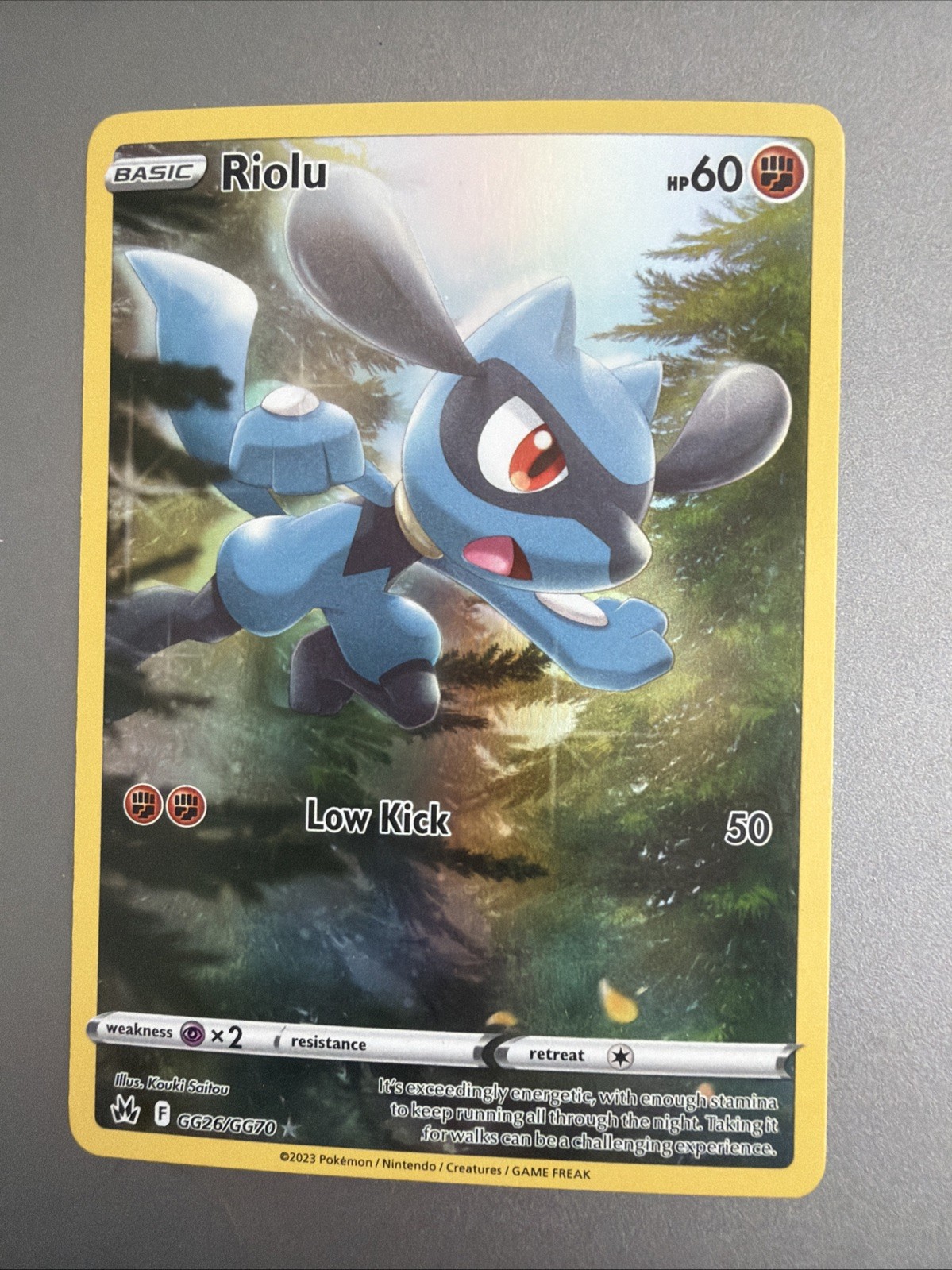 Riolu - GG26/GG70 - Crown Zenith Galarian Gallery - Pokemon - Holo NM