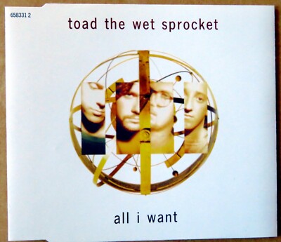 Toad the Wet Sprocket - All I want - Single-CD