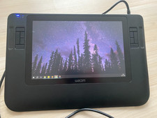 Wacom Cintiq 12WX inkl. StarTech USB 3.0 → DVI Adapter – nötig bei neuen PC's