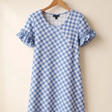 Ann Taylor | Blue Ballad Gingham Ruffle Sleeve Dress Petite 2P