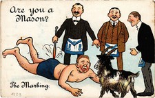 PC FREEMASONRY, HUMOR, ARE YOU A MASON, Vintage Postcard (b56229)