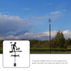 Foto 4 di 12