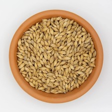 Malted Barley (Growth Hormones & IAA)