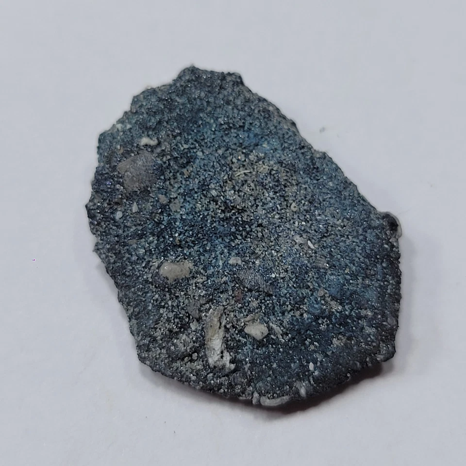 1715 FLEET Cob 1 Real Biscuit Coral Encrustation with COA Recent Salvage *OVK46 - Image 3 of 4