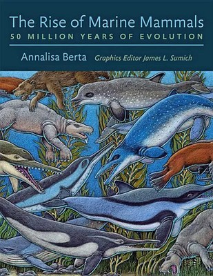 Annalisa Berta | The Rise of Marine Mammals | Buch | Englisch (2017)