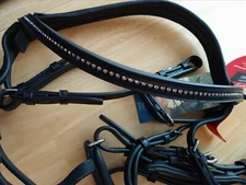 G. Passier & Sohn Fortuna OS Hook Stud Black Bridle New