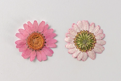 Dried Pressed Flowers Natural Epoxy Resin Candle Nail Art Scrapbooking Craft AU - Picture 79 of 210