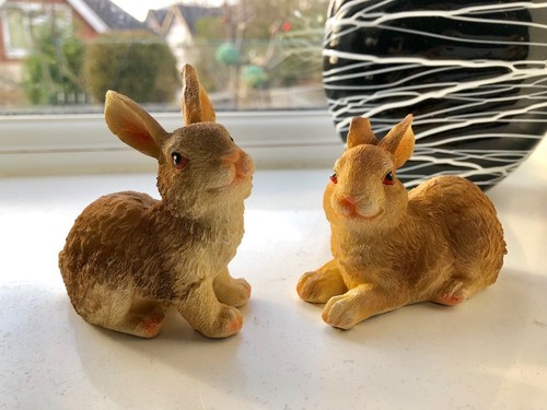 Zwei Kaninchen, Mini-Babys Gänseblümchen und Delilah Harzornamente 8 cm x 4,4 cm x 5,5 cm - Bild 4 von 6