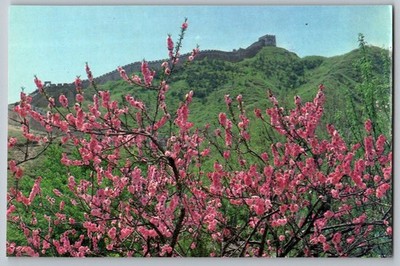 Postcard - Dawning Of A Spring Day, Badaling