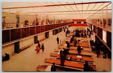 Streamlined Customs Facilities, New York International Airport, NY - Postcard