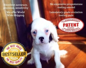 ovulation pads for dogs