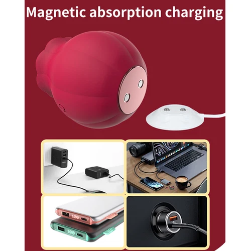 Silikon-Vibrator-Lecken-Sauger-Frauen-Massagegerät-10 Vibrationen USB Wiederaufladbar - Bild 12 von 21