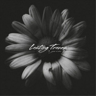 Lasting Traces You + Me (CD) Album