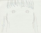 The Twelve Kingdoms Juuni Kokki Genga Douga Original Sketches Pierrot - Youko — photo 8