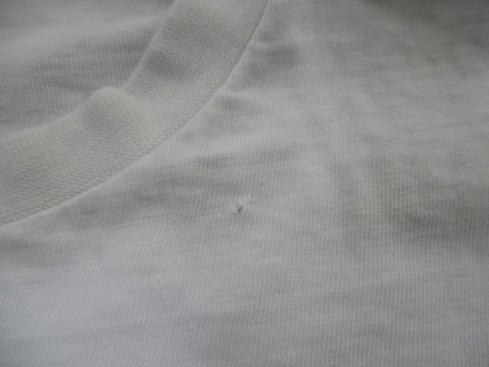 Picture 16 of 19