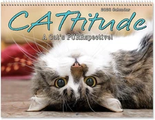 2026 Cattitudes Cat Wall Calendar, 12-Inch X 9-Inch Size Closed, 18-Inch Size Op