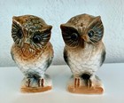 BONE CHINA OWLS SALT & PEPPER SHAKERS — photo 1