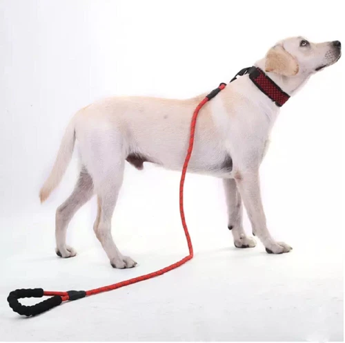 5 FT Dog Rope Leash - Reflective Nylon Lead, Training Padded Handle for Puppies - Picture 20 of 82