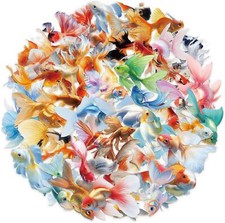 50 Pcs Clear PET Goldfish Aesthetic Stickers for Scrapbooking Journaling Junk Jo