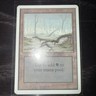 Swamp (B) Unlimited Edition Land Magic: the gathering Near Mint or Better