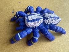 Yowie Peacock Tarantula