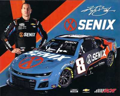 洋書 NASCAR's Wild Years s-l400.jpg