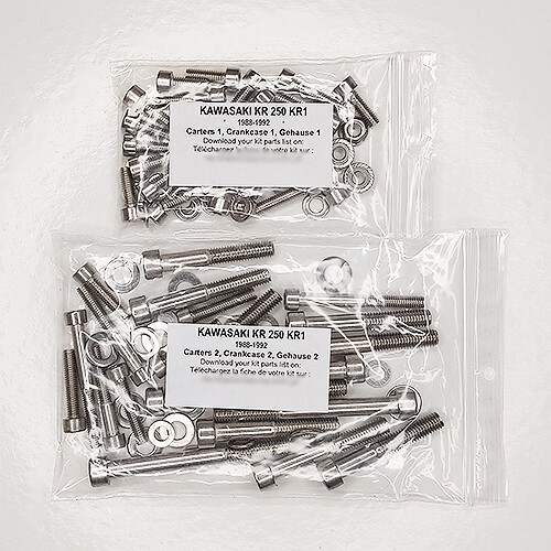 Vis carter moteur Kawasaki KR250 rouillées ? Remplacez-les par ce kit allen inox anti-grippage