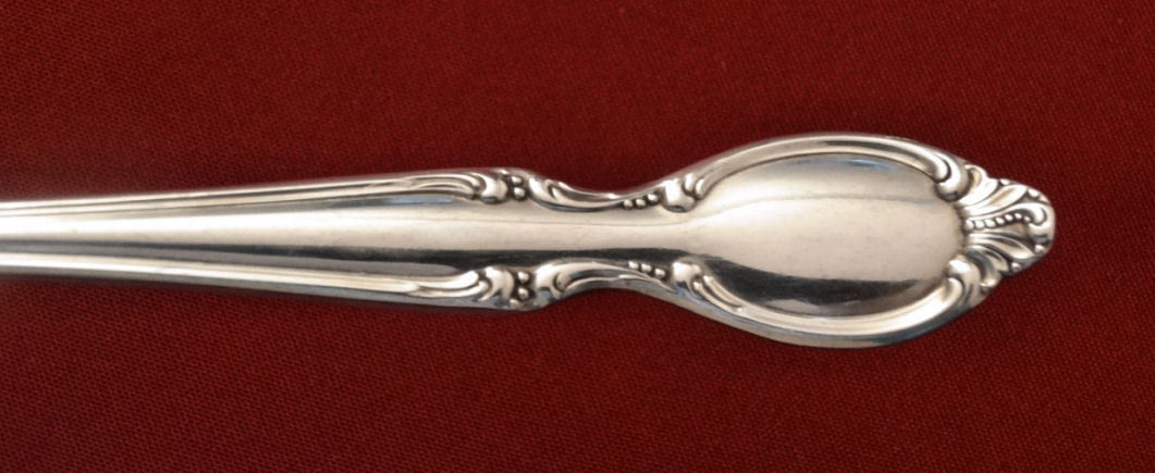Wm Rogers PRECIOUS MIRROR International Silver Plated Silverware