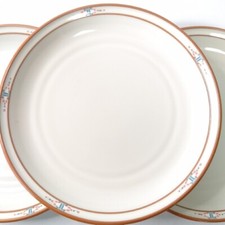 Noritake Boulder Ridge II Stoneware Plate Set 5 pcs, Very Good Condition F/S 9in