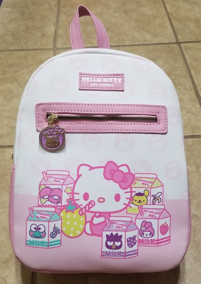 backpack for laptop and lunch Backpack, 15.6