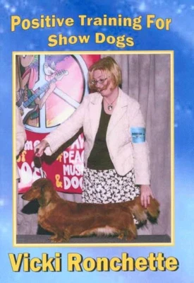 gumtree basset hound