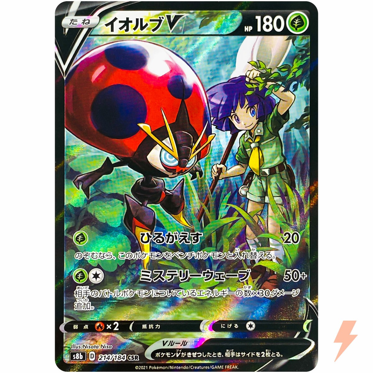 ポケモン　バイオレットとシールド ポケットモンスター バイオレット & シールドセット 商品・特典