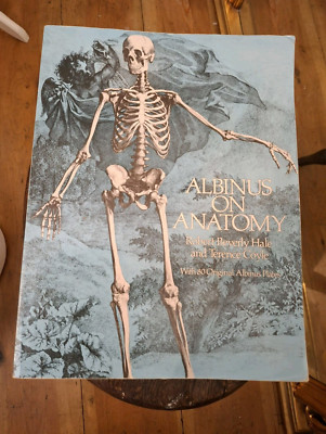 Albinus On Anatomy Hayle & Coyle Human Anatomy 80 Original Platten